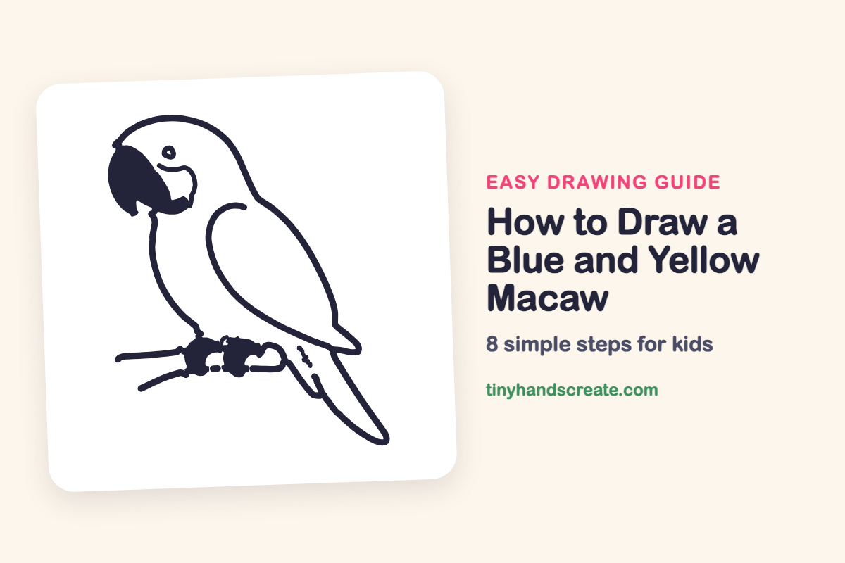 How to Draw a Blue and Yellow Macaw: easy drawing guide for kids