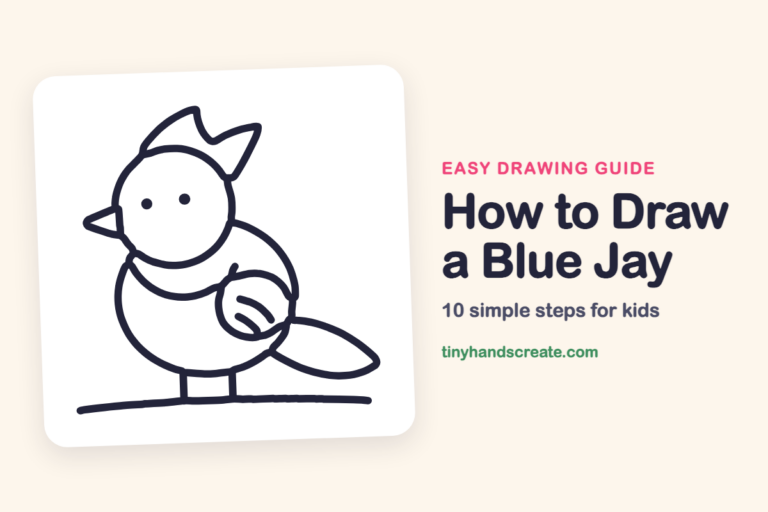 How to Draw a Blue Jay step by step