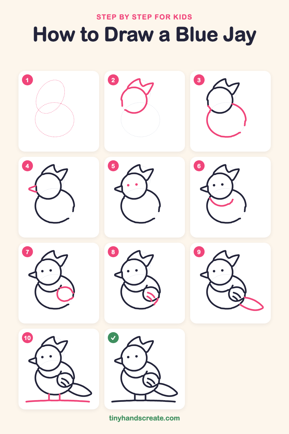 How to draw a blue jay step by step for kids