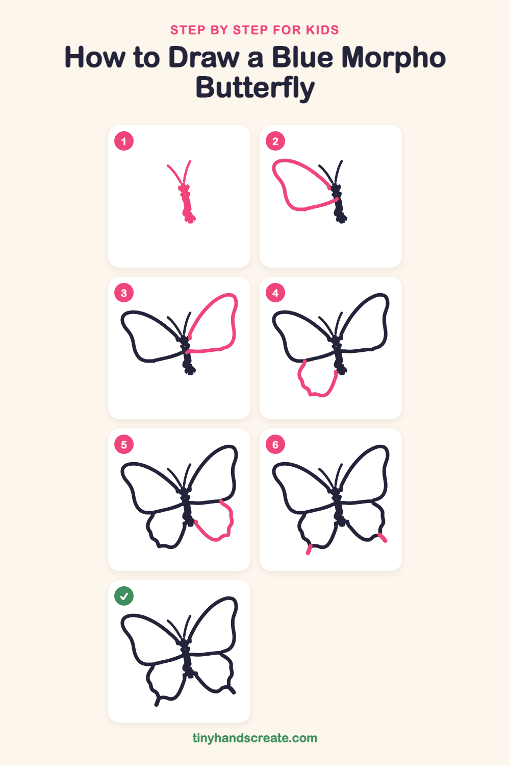 How to draw a blue morpho butterfly step by step for kids