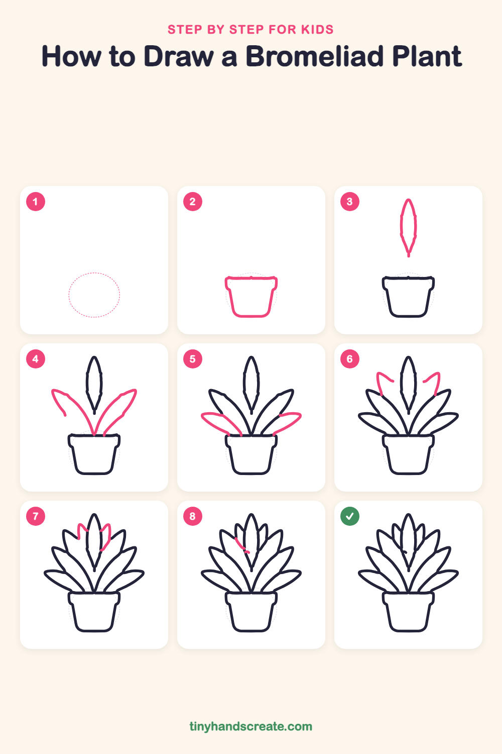 How to draw a bromeliad plant step by step for kids