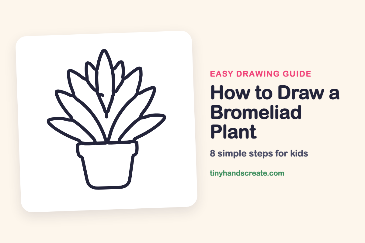 How to Draw a Bromeliad Plant: easy drawing guide for kids