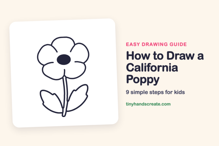 How to Draw a California Poppy: easy drawing guide for kids