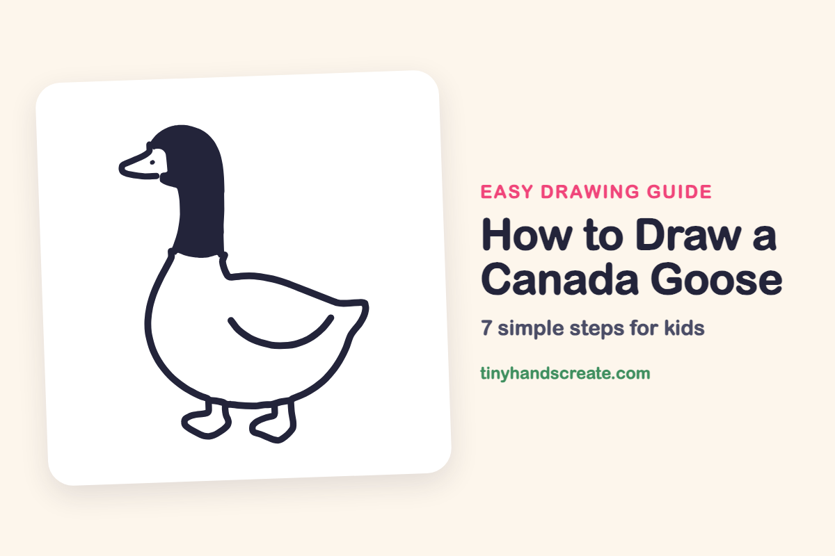 How to Draw a Canada Goose: easy drawing guide for kids
