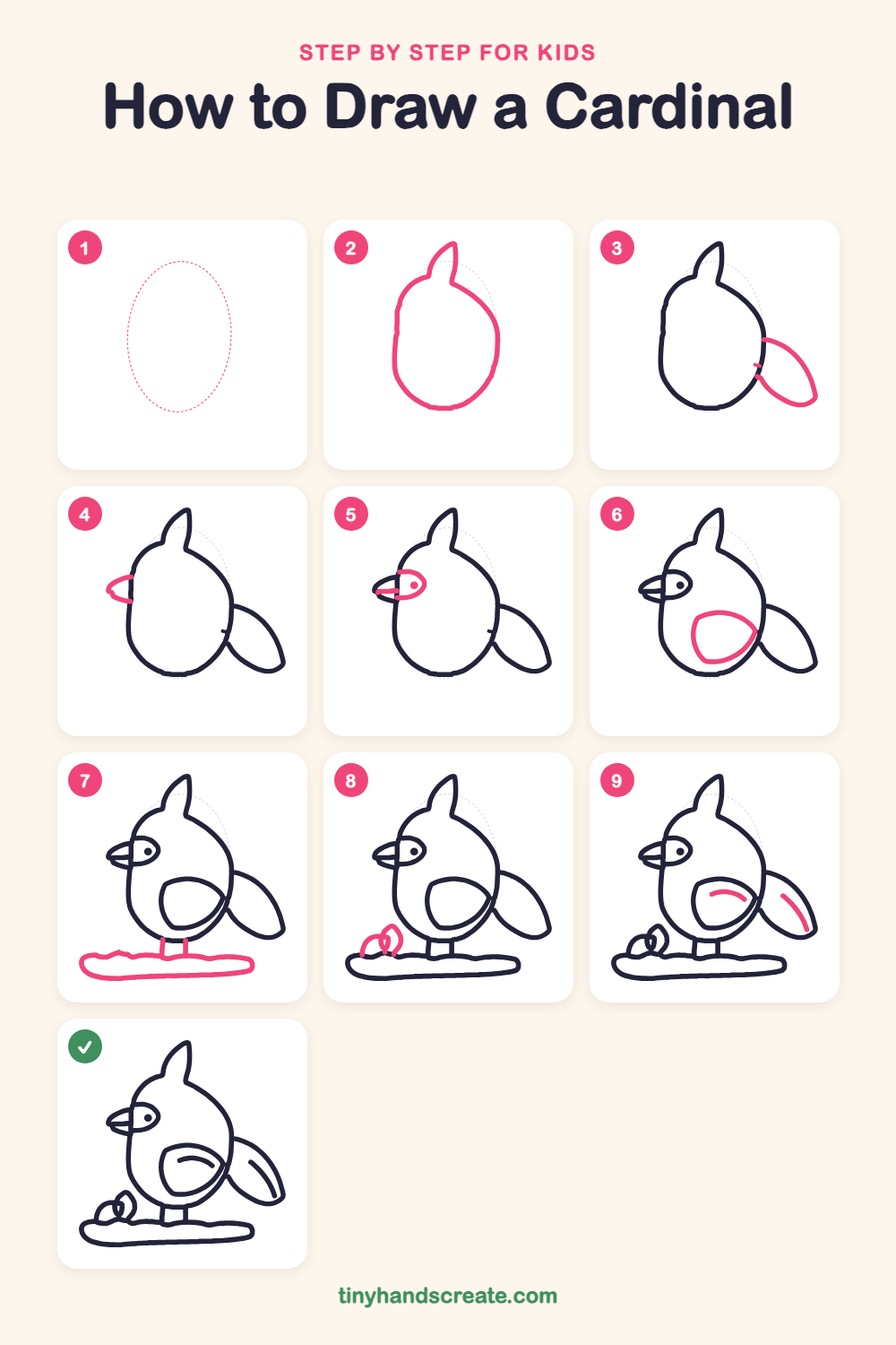 How to draw a cardinal step by step for kids