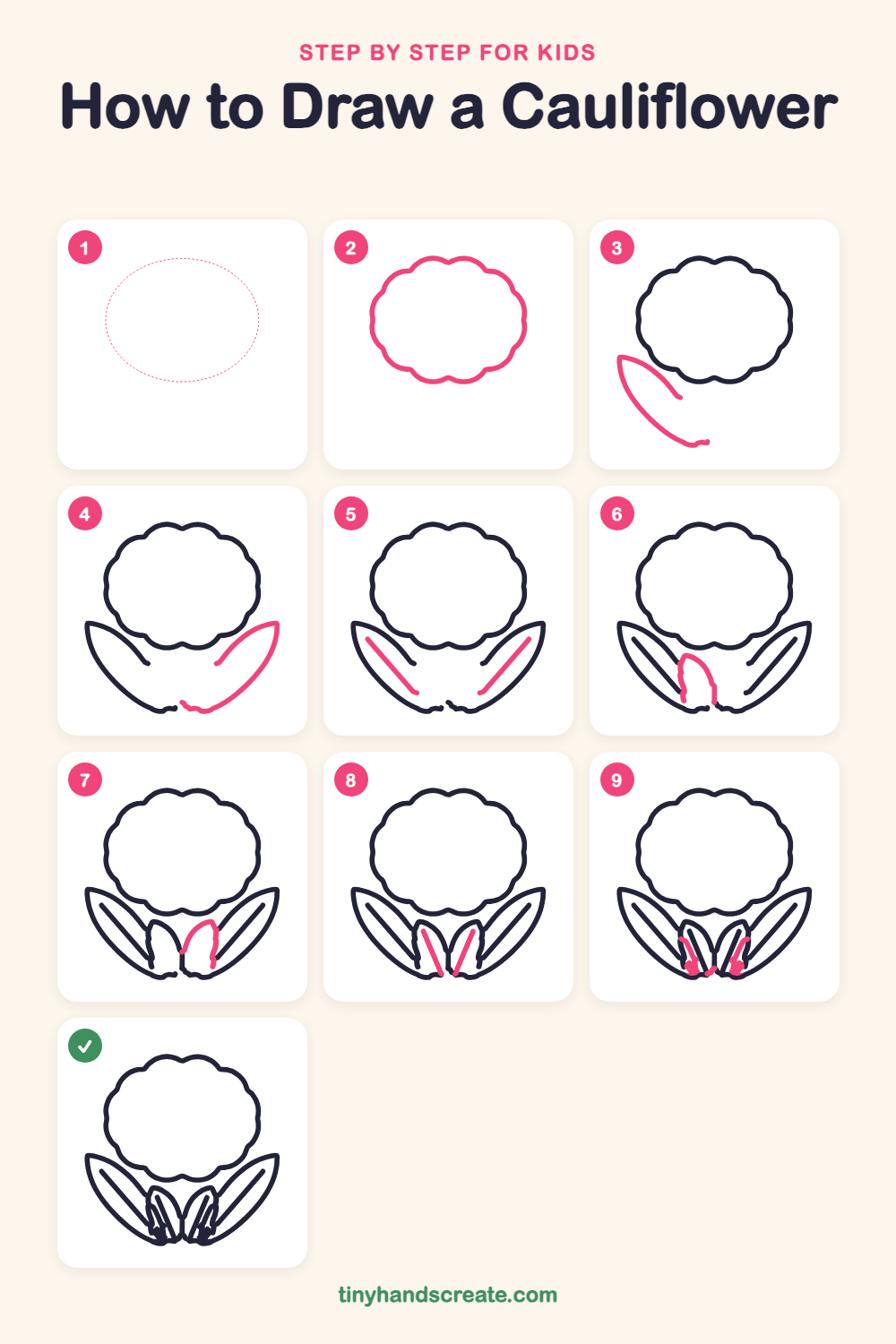 How to draw a cauliflower step by step for kids