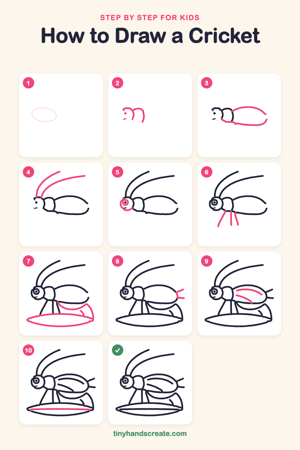 How to draw a cricket step by step for kids