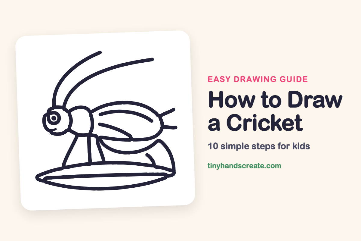 How to Draw a Cricket: easy drawing guide for kids