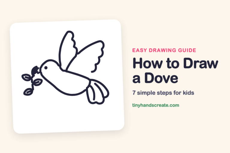 How to Draw a Dove step by step