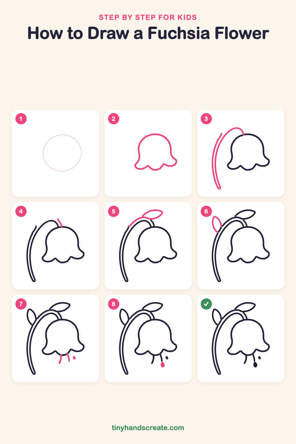 How to draw a fuchsia flower step by step for kids