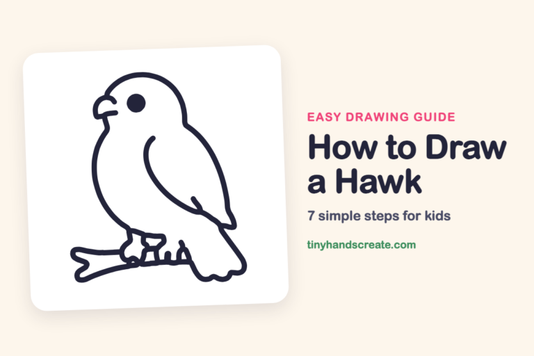 How to Draw a Hawk: easy drawing guide for kids