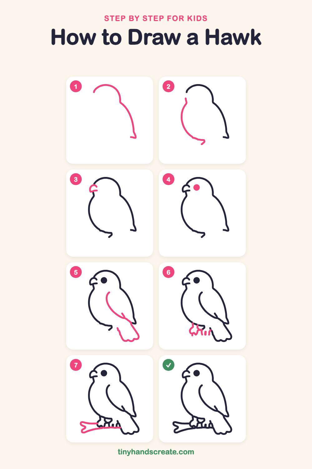 How to draw a hawk step by step for kids