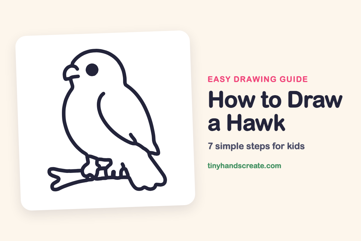 How to Draw a Hawk: easy drawing guide for kids