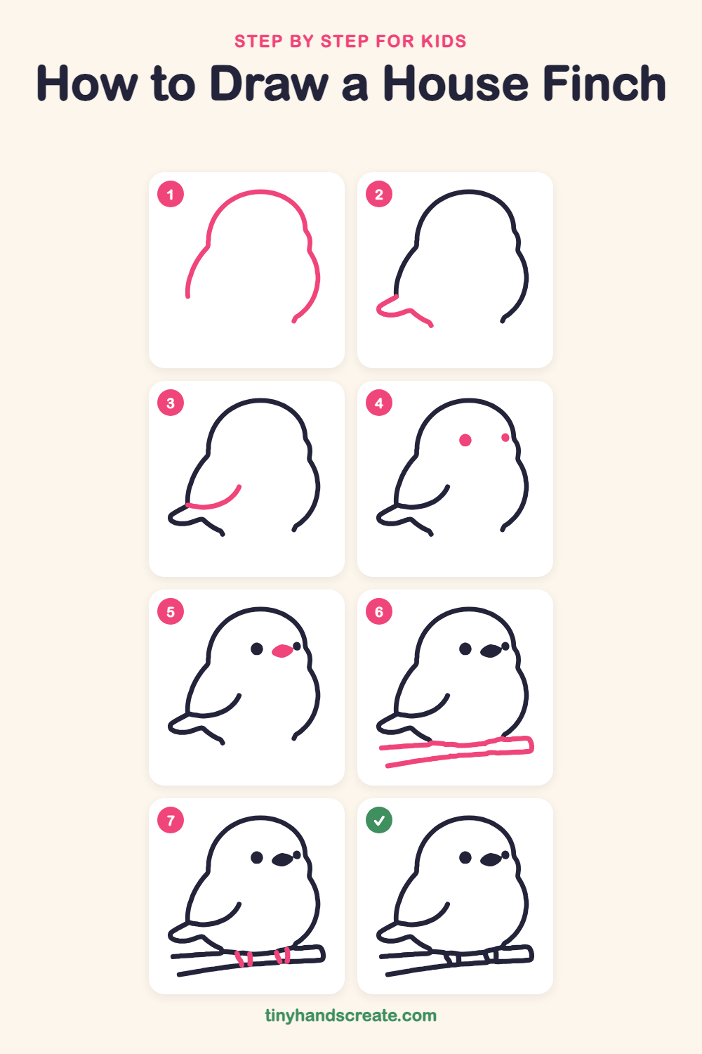 How to draw a house finch step by step for kids