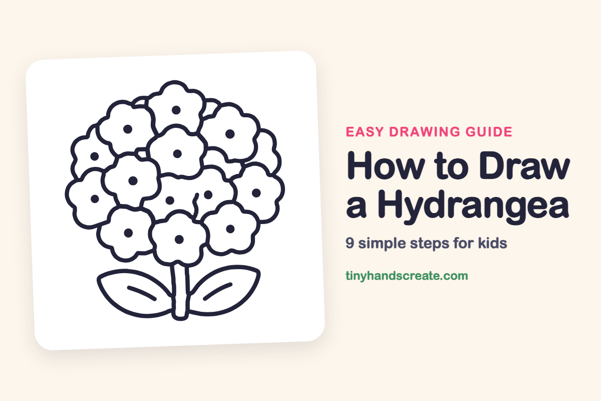 How to Draw a Hydrangea: easy drawing guide for kids