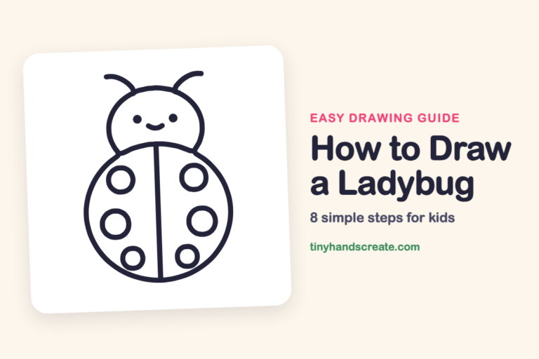 How to Draw a Ladybug step by step