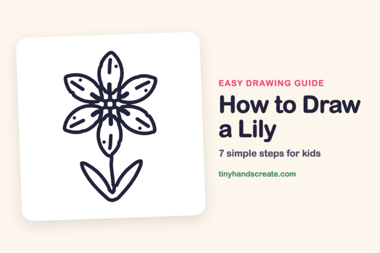 How to Draw a Lily: easy drawing guide for kids