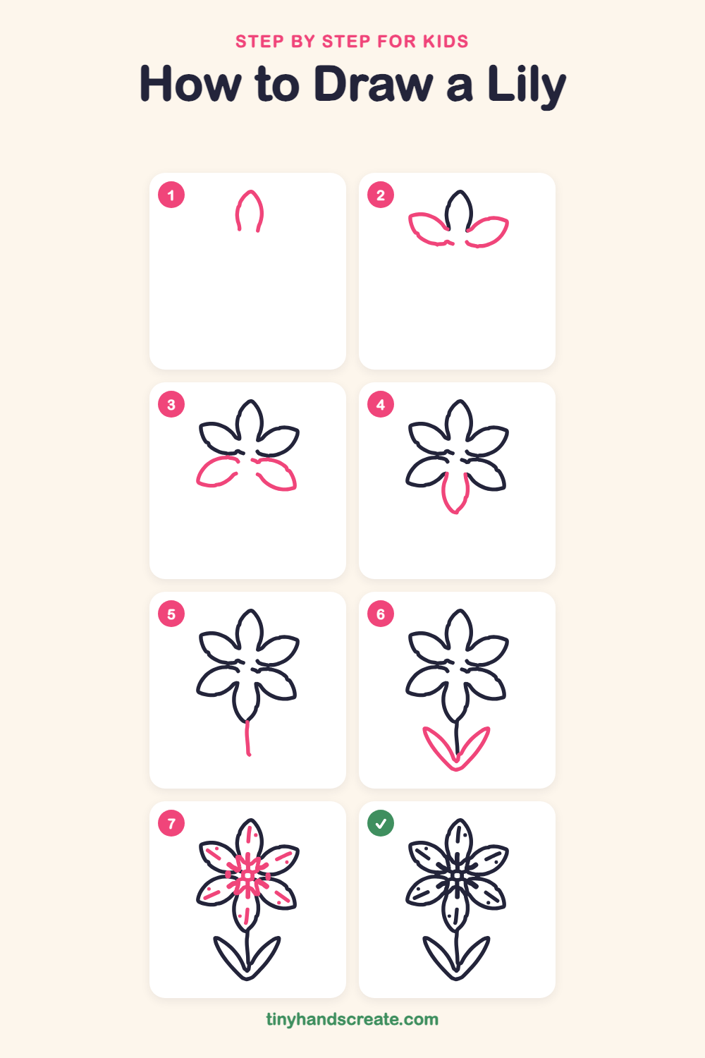 How to draw a lily step by step for kids