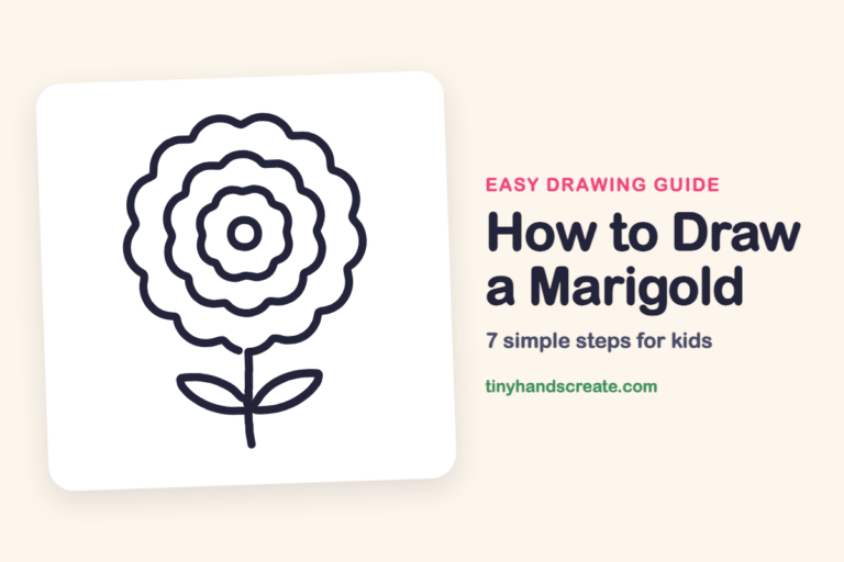 How to Draw a Marigold: easy drawing guide for kids