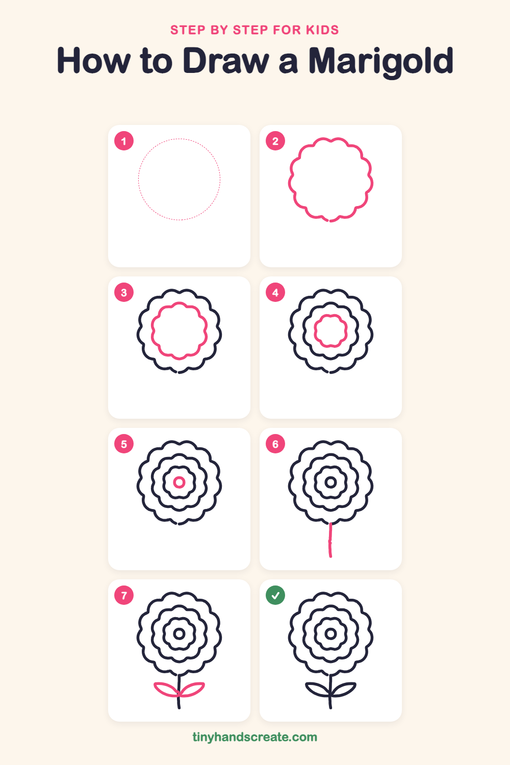 How to draw a marigold step by step for kids
