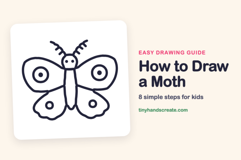 How to Draw a Moth step by step