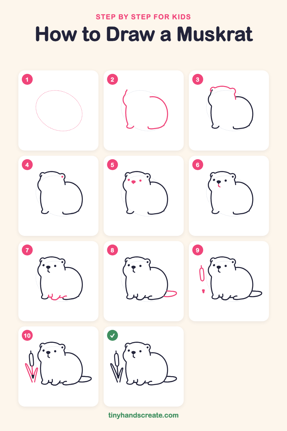 How to draw a muskrat step by step for kids