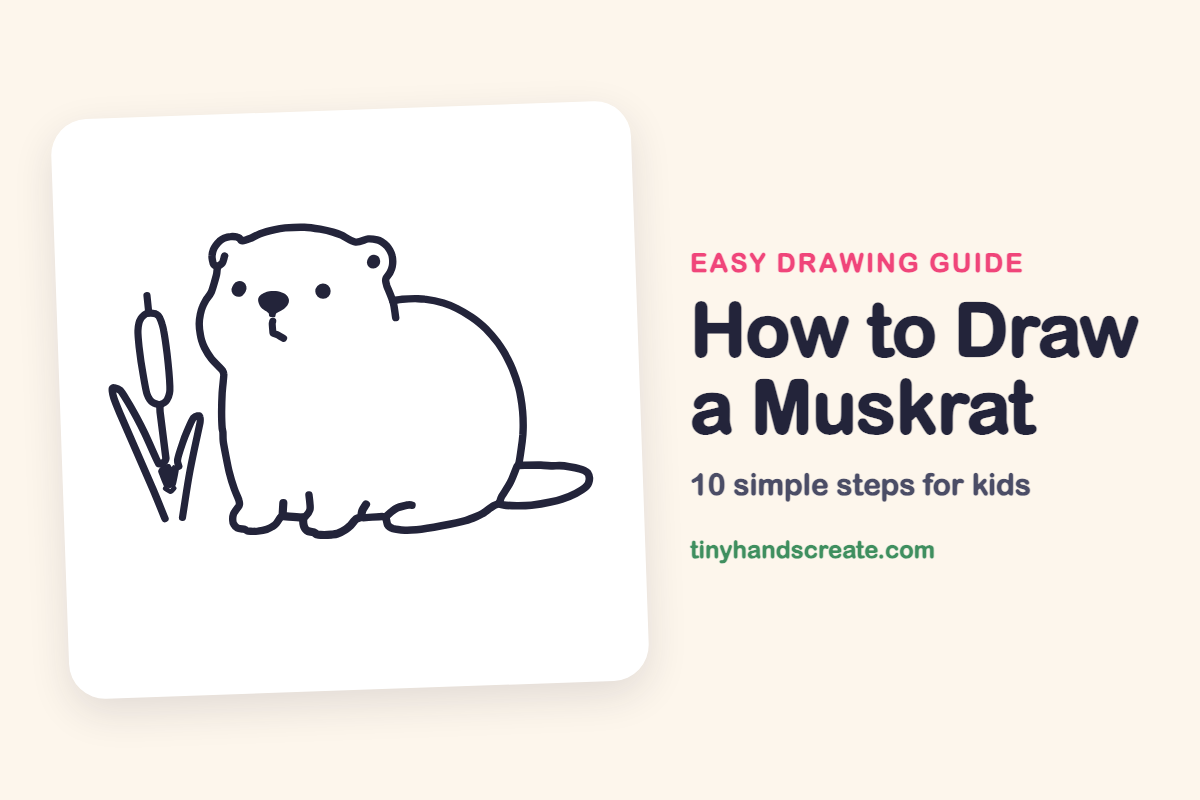 How to Draw a Muskrat: easy drawing guide for kids
