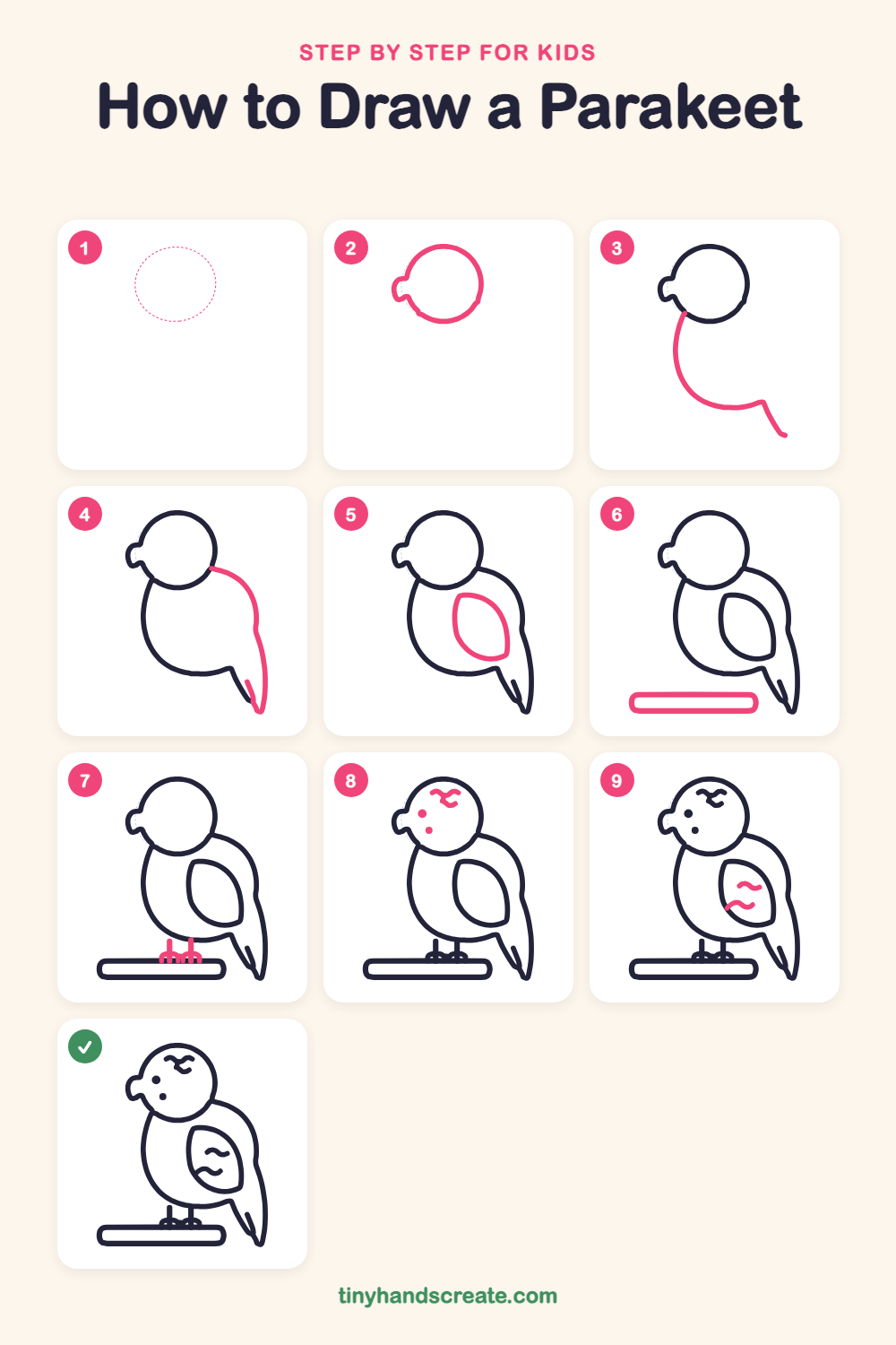 How to draw a parakeet step by step for kids