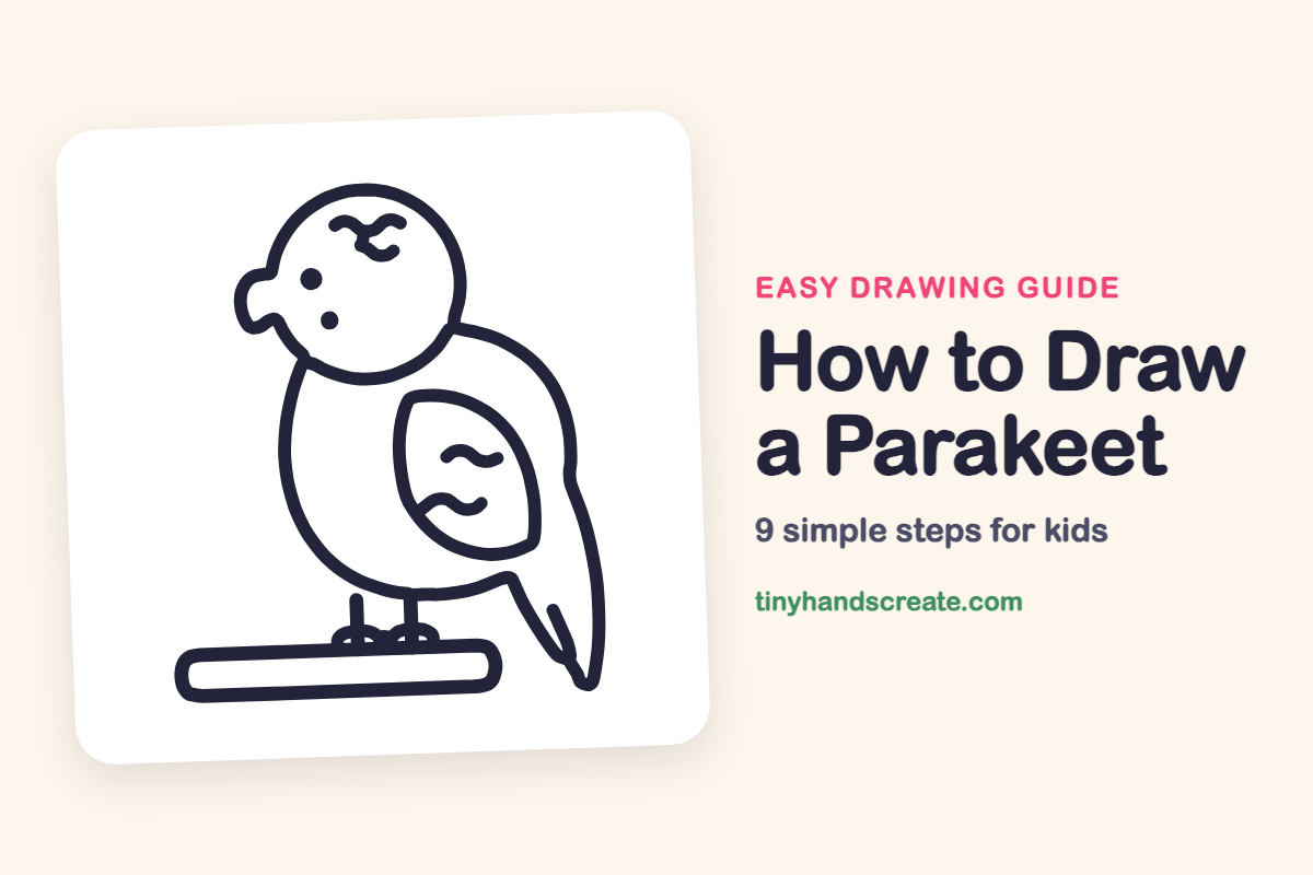 How to Draw a Parakeet: easy drawing guide for kids
