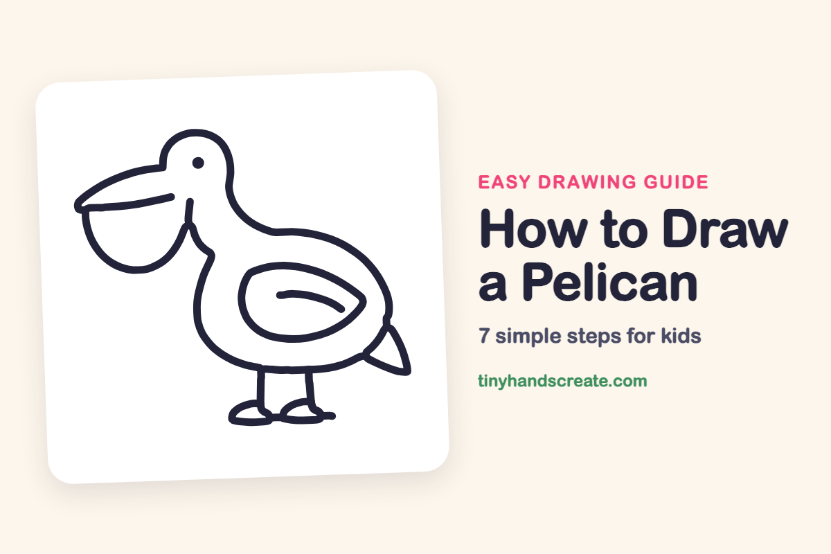 How to Draw a Pelican: easy drawing guide for kids
