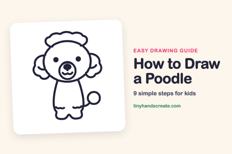 How to Draw a Poodle step by step
