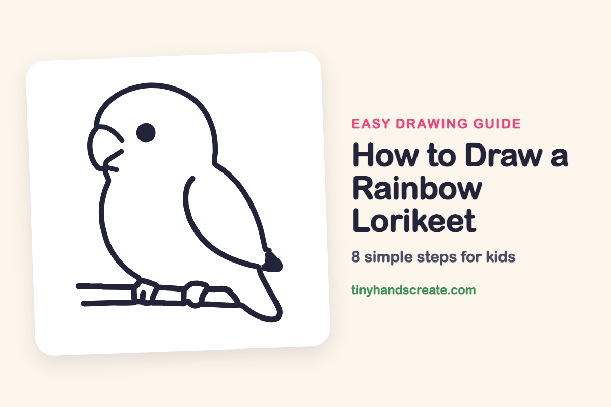 How to Draw a Rainbow Lorikeet: easy drawing guide for kids
