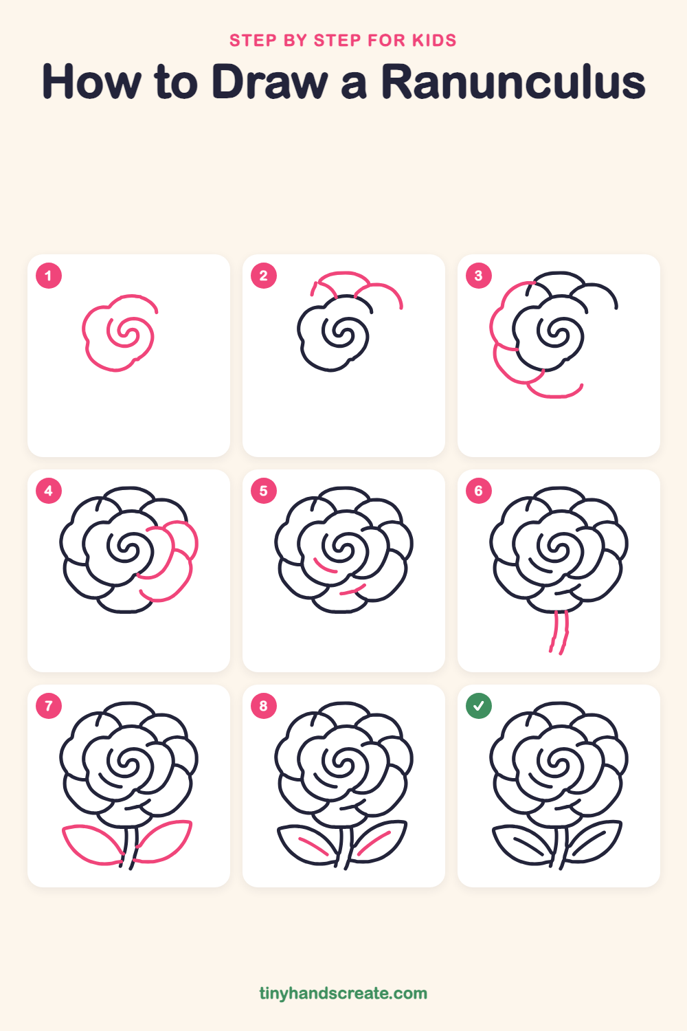 How to draw a ranunculus step by step for kids
