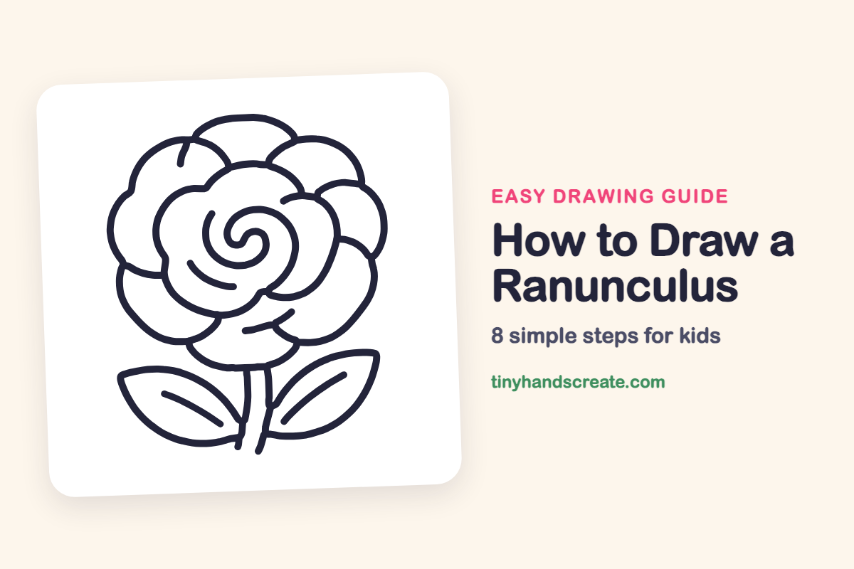 How to Draw a Ranunculus: easy drawing guide for kids