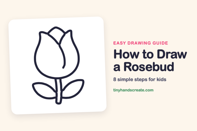 How to Draw a Rosebud step by step