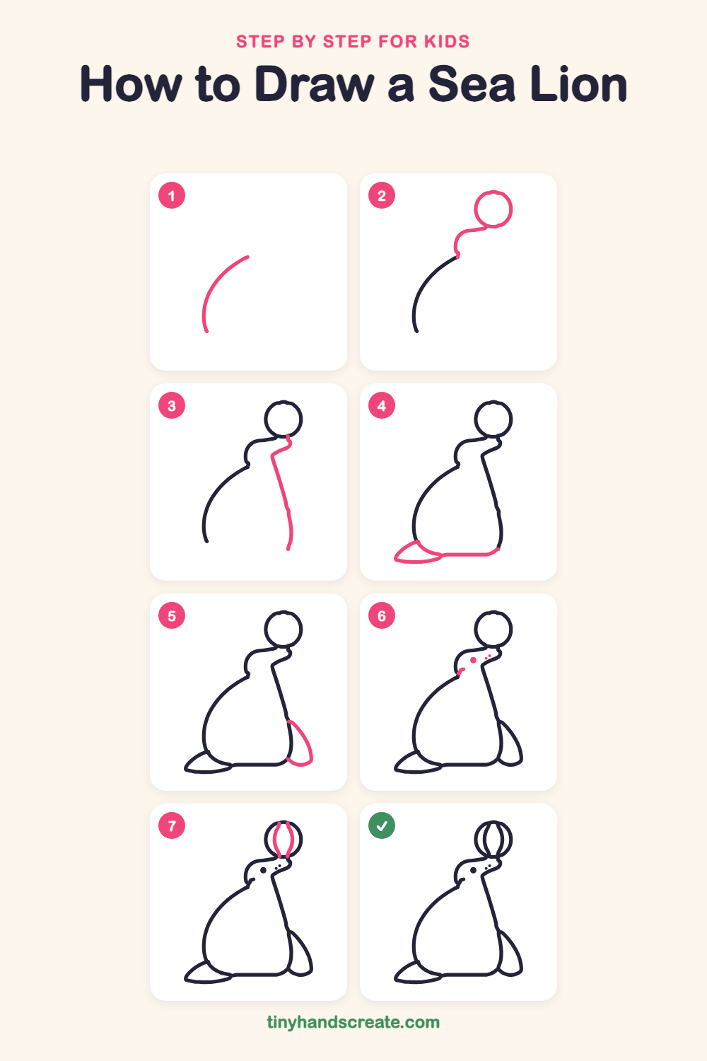 How to draw a sea lion step by step for kids