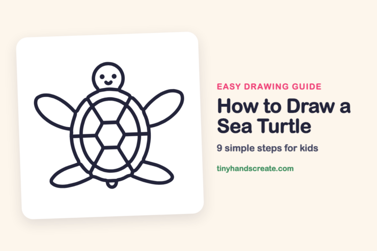 How to Draw a Sea Turtle step by step