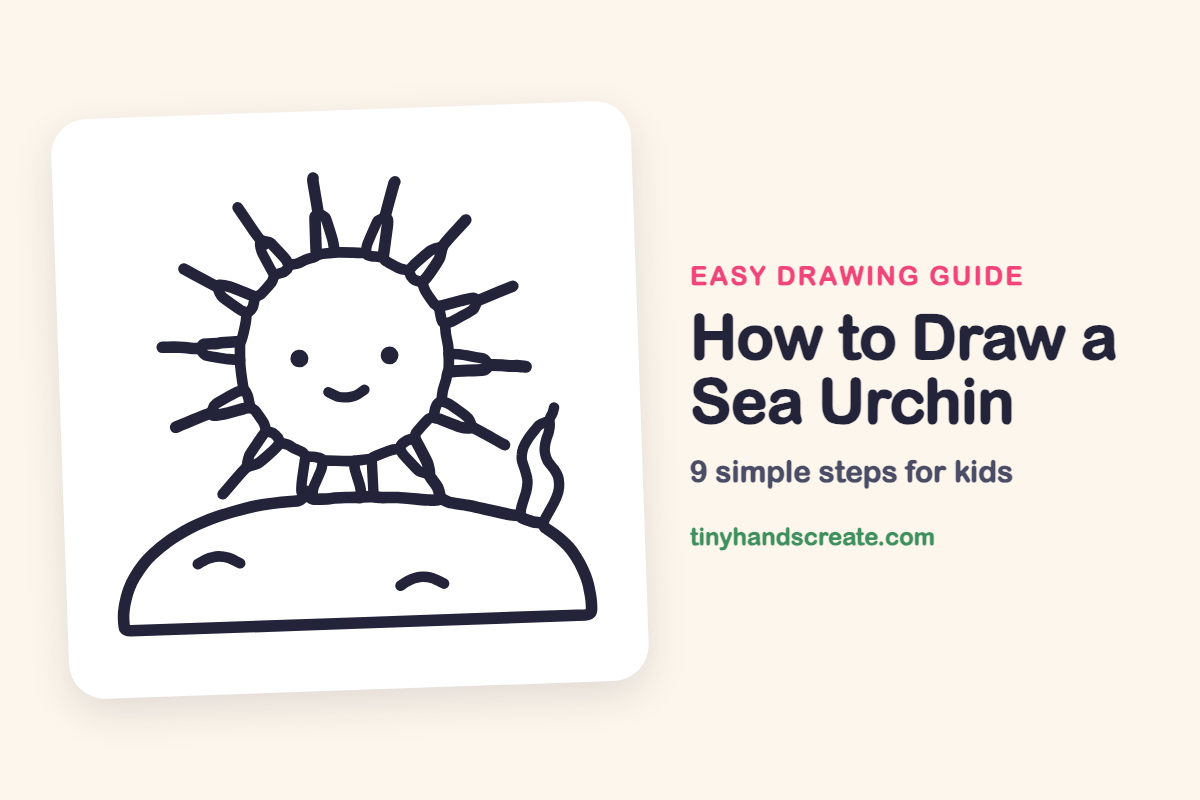 How to Draw a Sea Urchin: easy drawing guide for kids