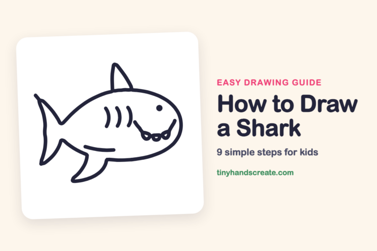 How to Draw a Shark step by step