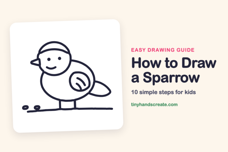 How to Draw a Sparrow step by step