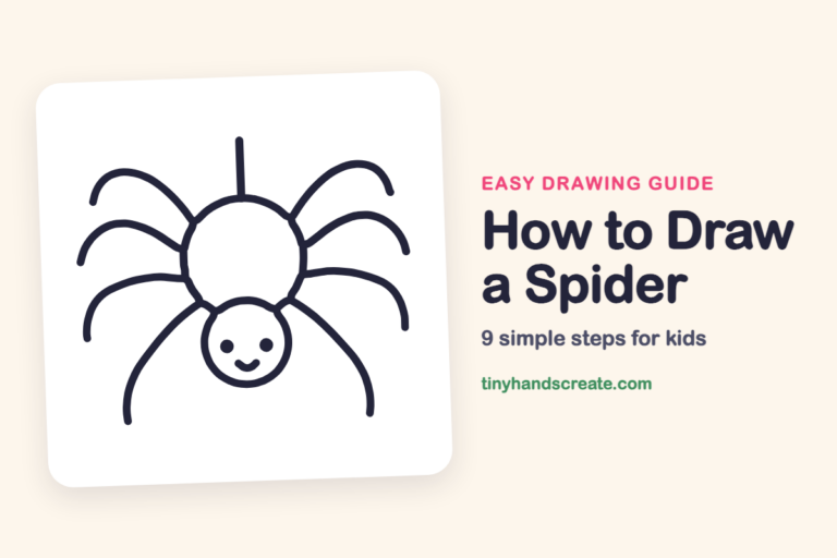 How to Draw a Spider step by step