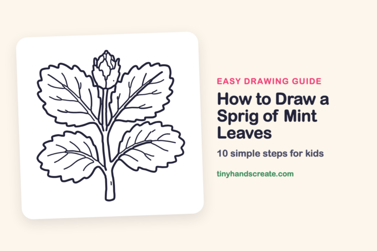 How to Draw a Sprig of Mint Leaves: easy drawing guide for kids