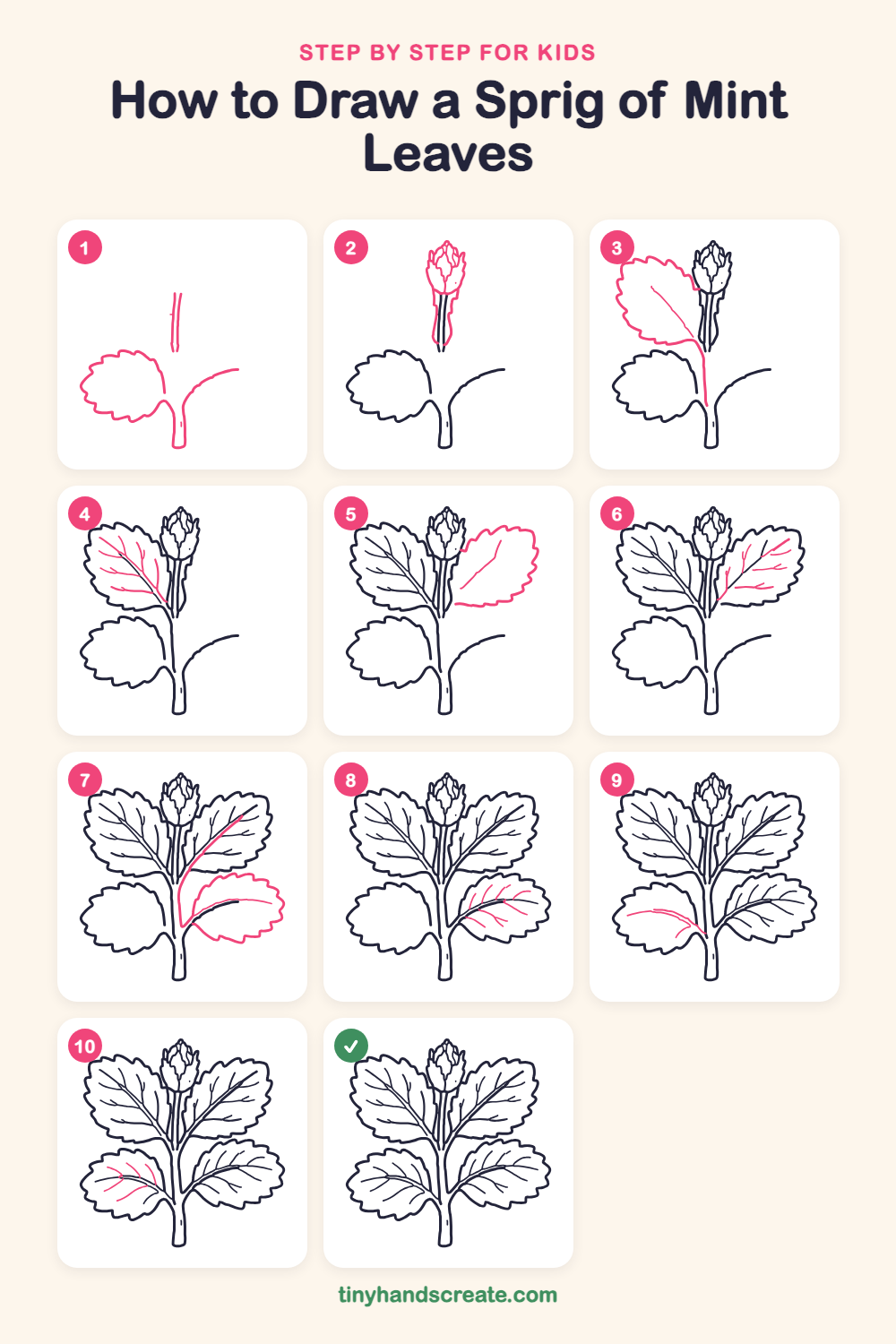 How to draw a sprig of mint leaves step by step for kids