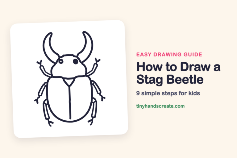 How to Draw a Stag Beetle: easy drawing guide for kids