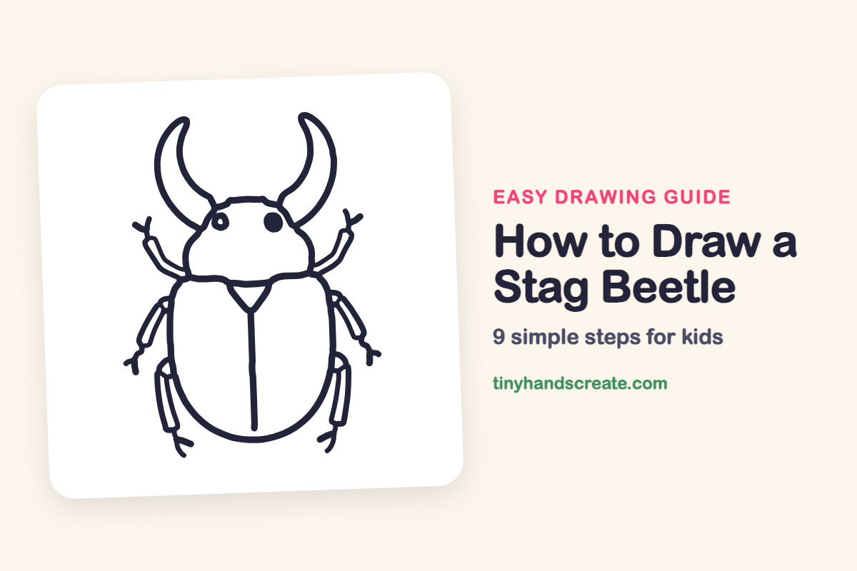 How to Draw a Stag Beetle: easy drawing guide for kids