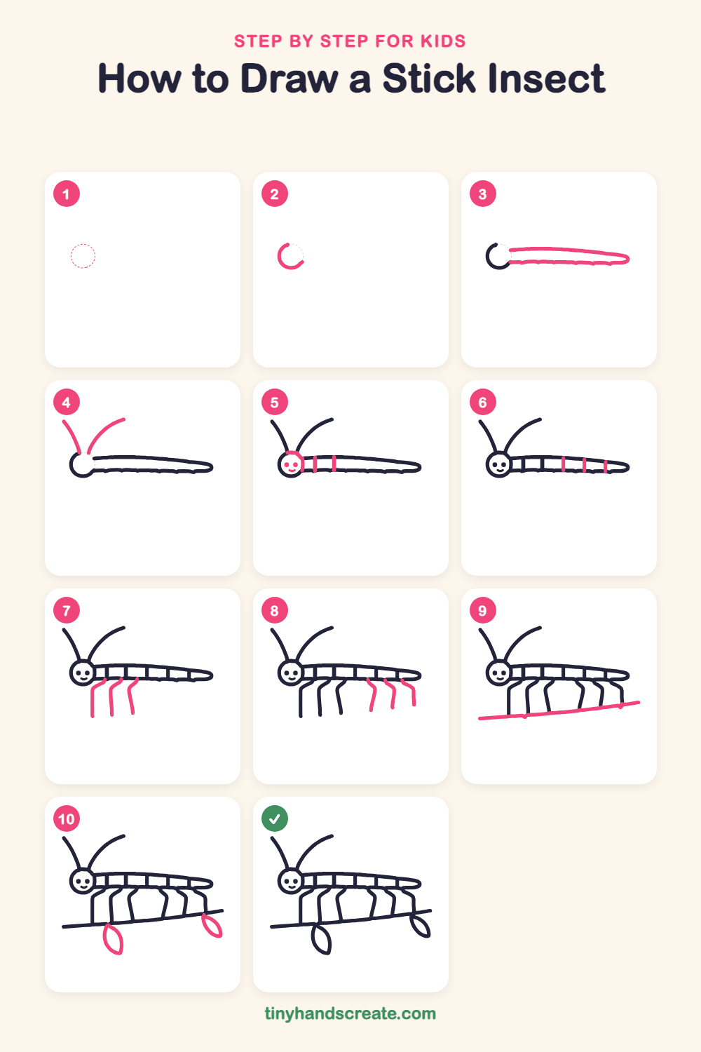 How to draw a stick insect step by step for kids