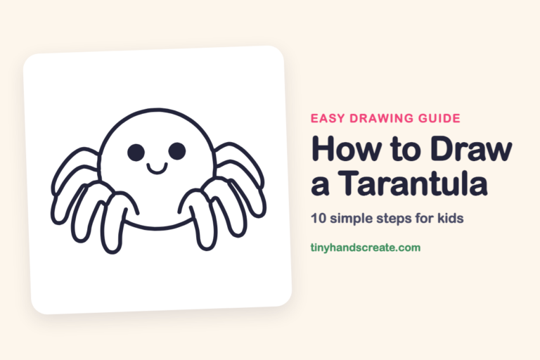 How to Draw a Tarantula: easy drawing guide for kids