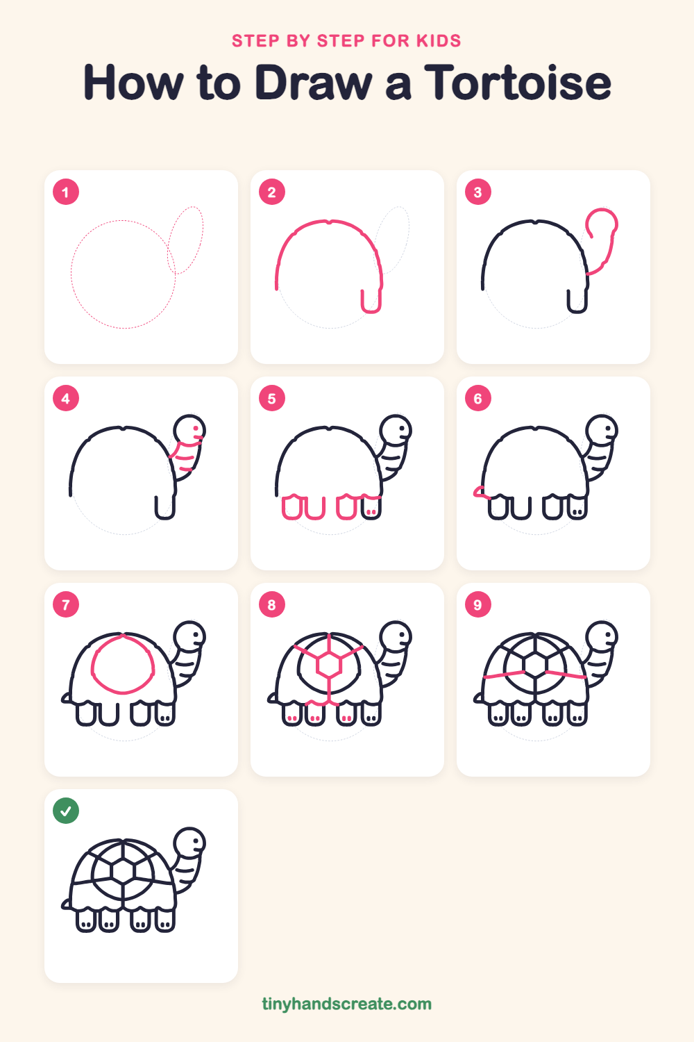 How to draw a tortoise step by step for kids
