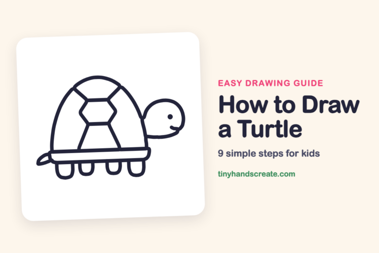 How to Draw a Turtle step by step