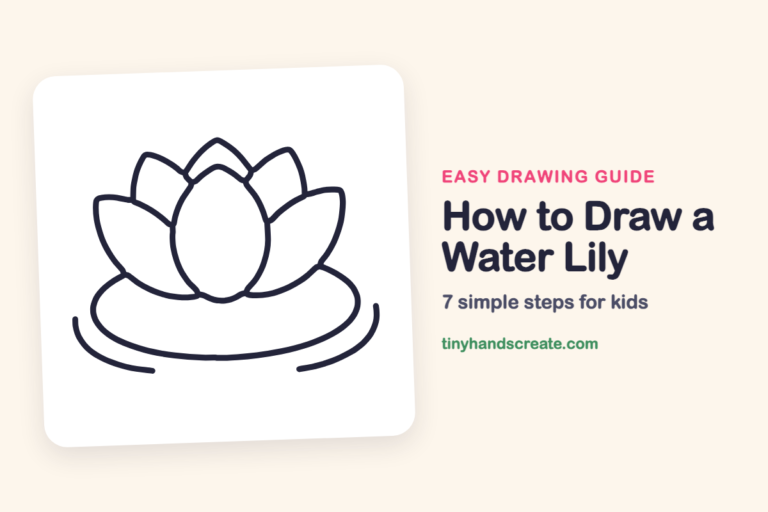 How to Draw a Water Lily: easy drawing guide for kids